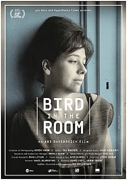 Watch Full Movie - Bird in the Room