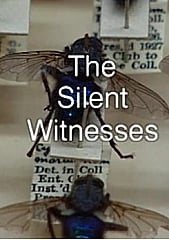Watch Full Movie - Bodies of Evidence - The Silent Witnesses