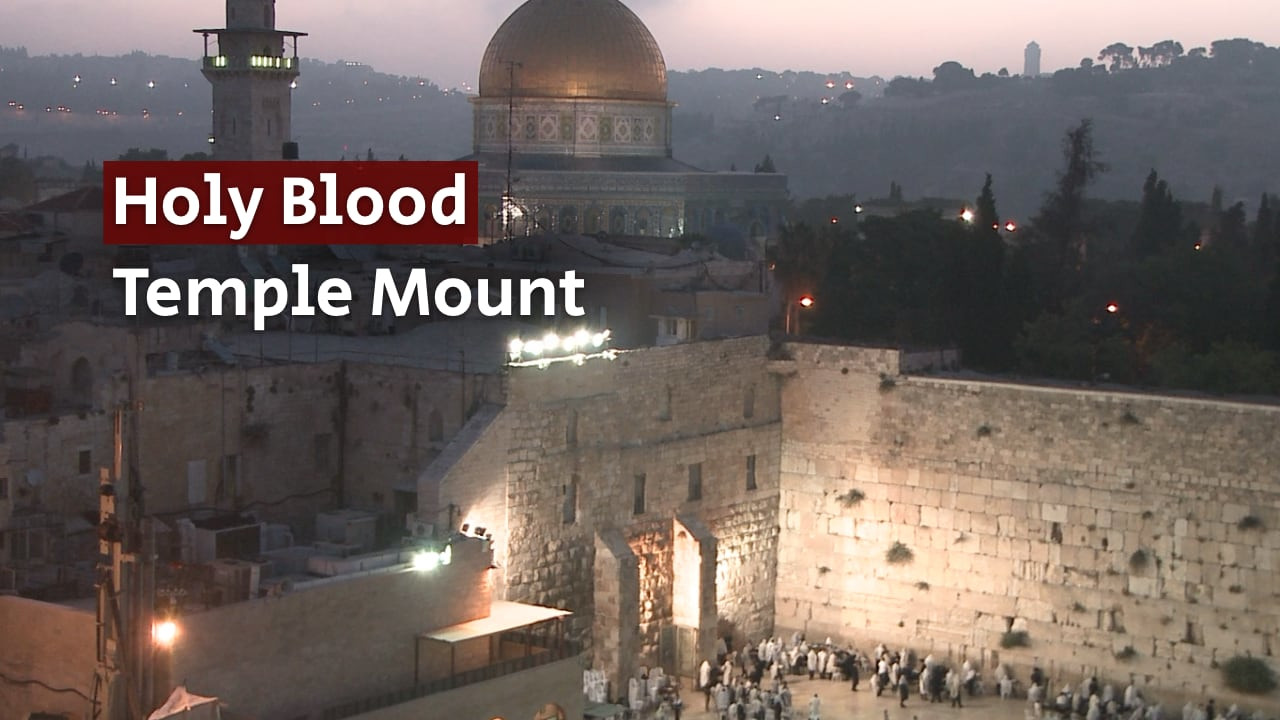 Watch Full Movie - Holy Blood: The Temple Mount - Watch Trailer