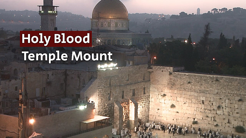 Watch Full Movie Holy Blood: The Temple Mount - Watch Trailer