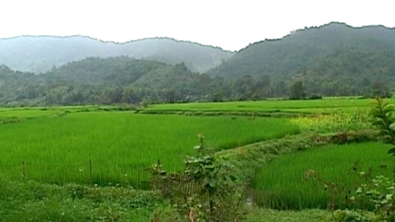 Watch Full Movie - The Journey of Vaan Nguyen - Watch Trailer