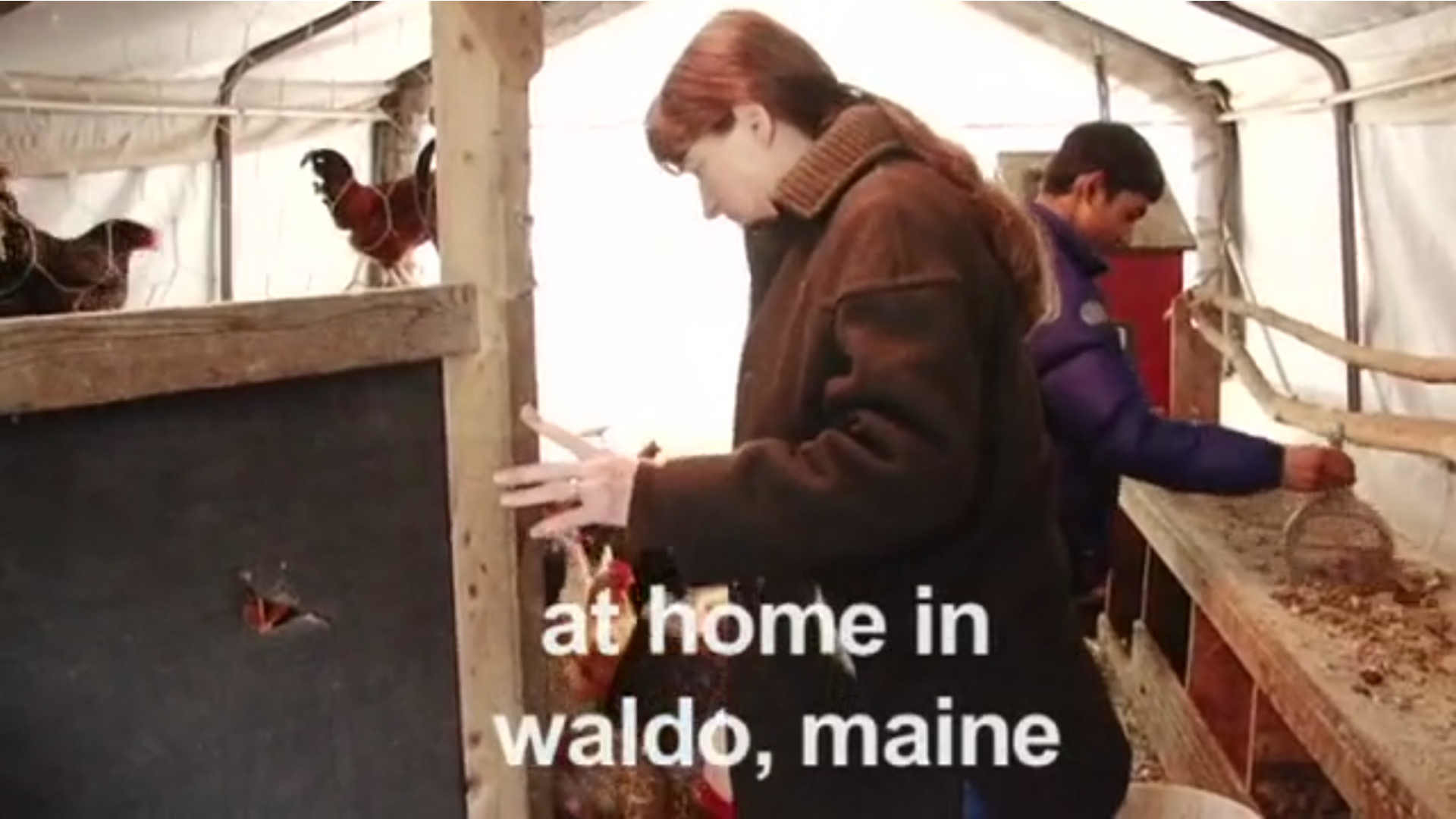 Watch Full Movie -  At Home In Waldo, Maine - Watch Trailer