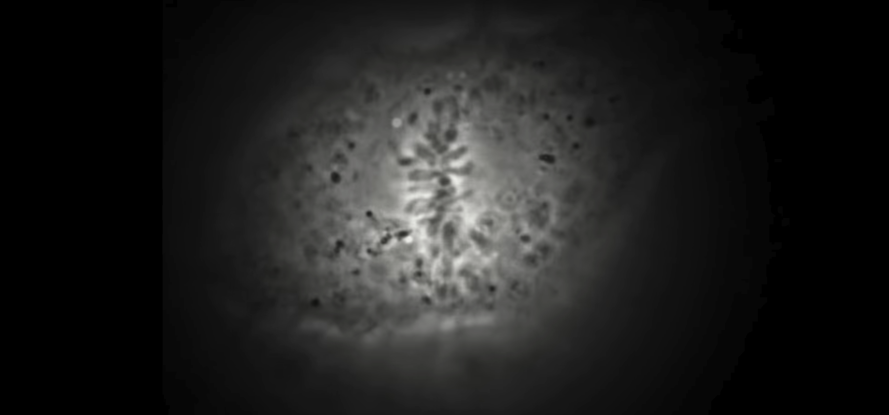 Watch Full Movie - On DNA Mutation - Watch Trailer