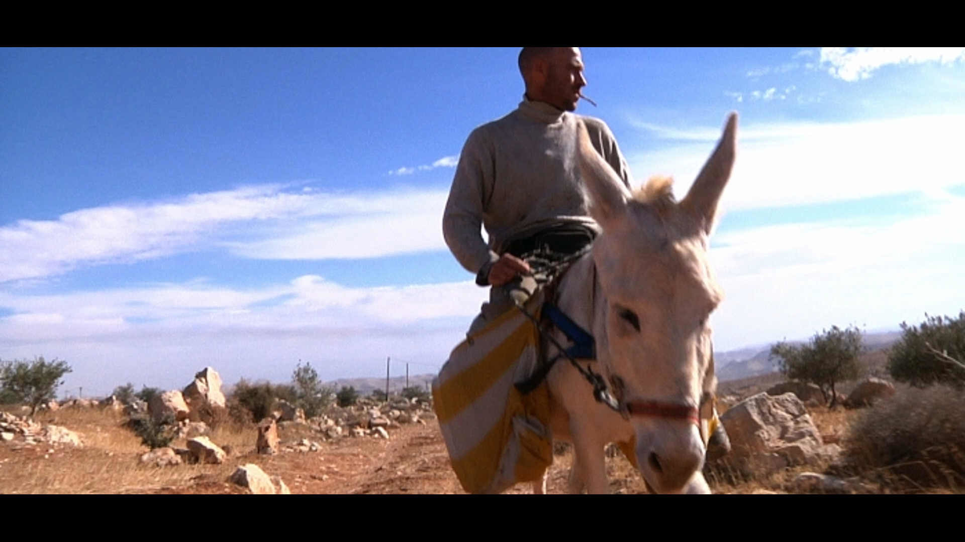 Watch Full Movie - Niro and Flika - Watch Trailer