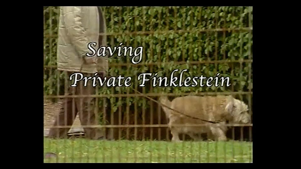 Watch Full Movie - Saving Private Finkelstein - Watch Trailer