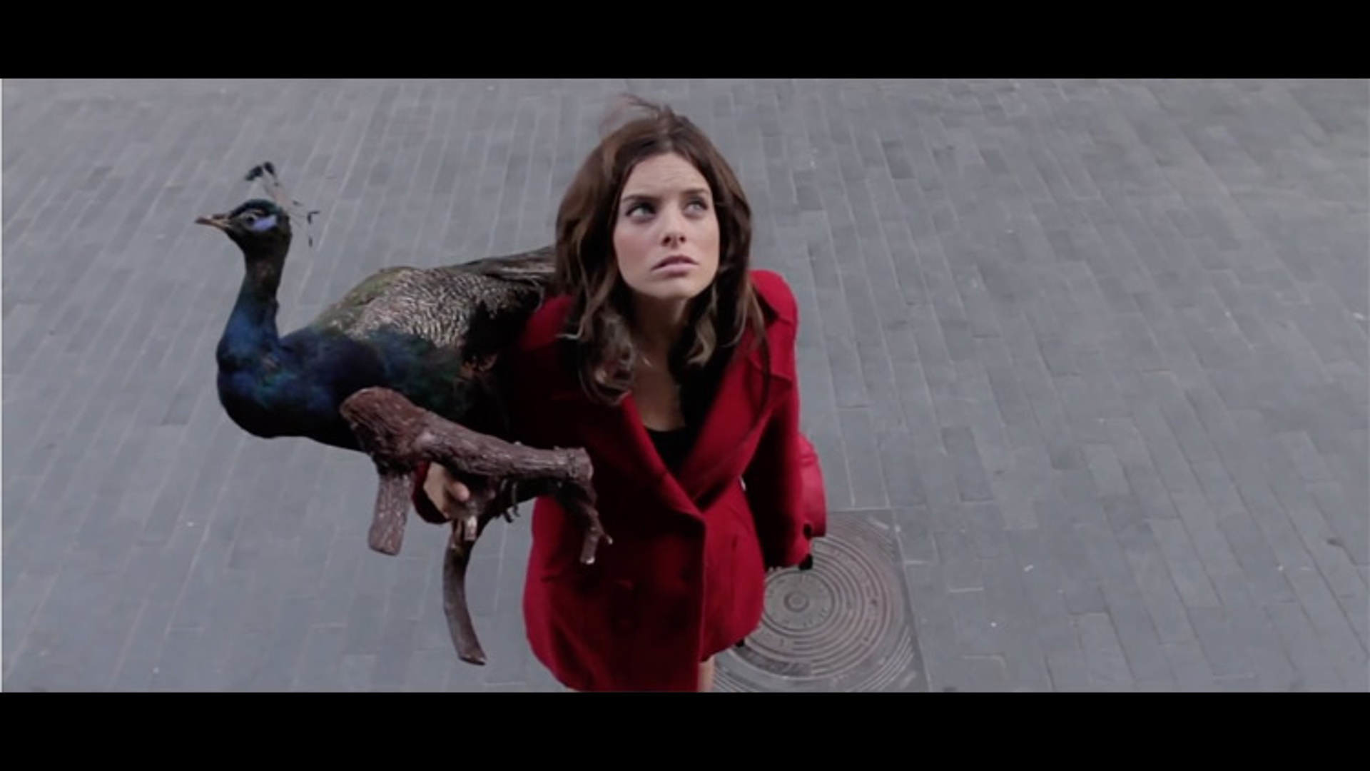 Watch Full Movie - Yellow Glasses - Watch Trailer