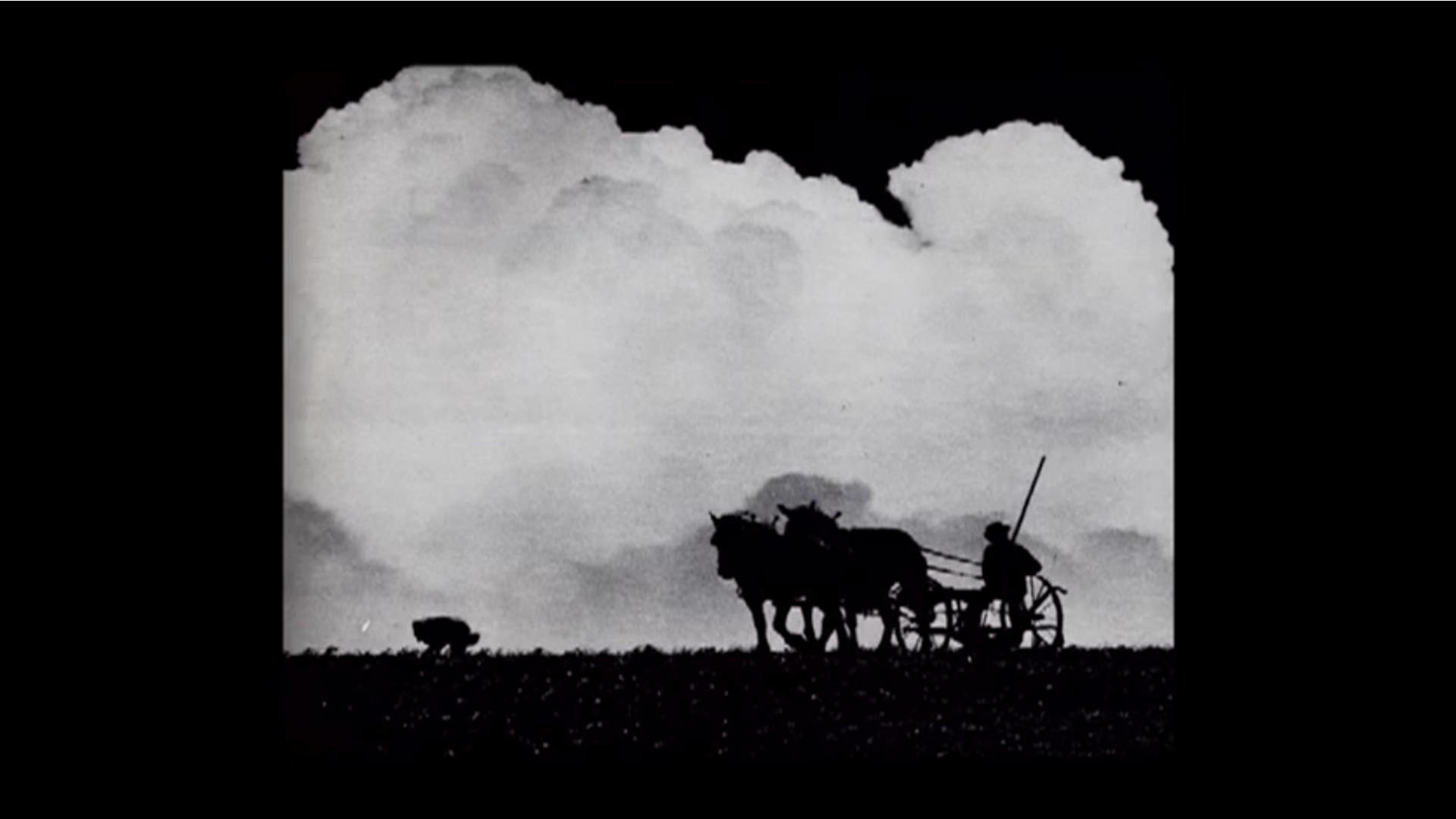 Watch Full Movie - Zielinski - Watch Trailer