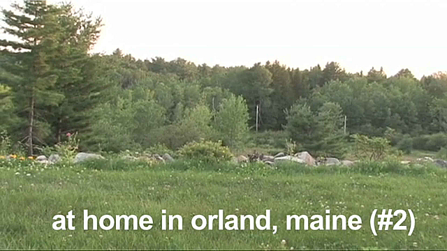 Watch Full Movie - At Home in Orland, Maine - Watch Trailer